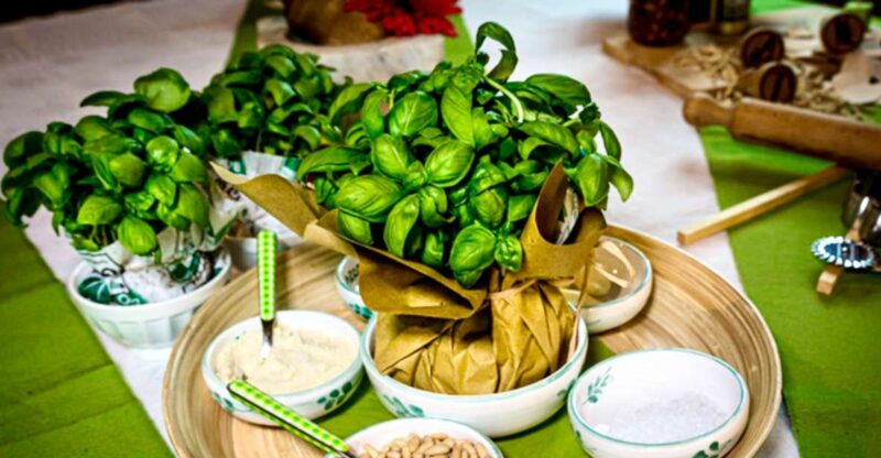 Pesto Making Class in Historic Building in Genoa - Key Points