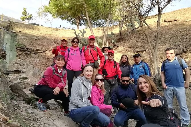 Pet Friendly Hiking in Cerro Del Chupón - Choosing the Right Hiking Gear
