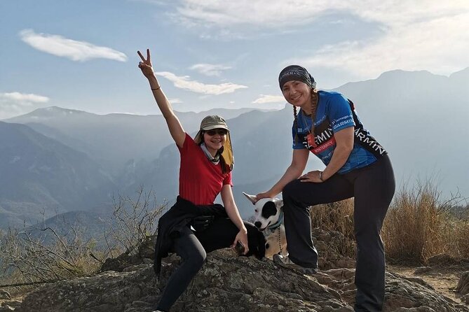 Pet Friendly Hiking in Cerro Del Chupón - Pet Considerations for the Tour