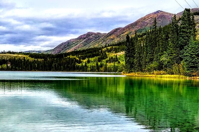 Pet the Pups 7-hour Scenic Journey to the Yukon and Dogsledding Camp - Reviews and Ratings