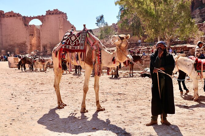 Petra 1-Day Tour From Tel Aviv With FREE Authentic Lunch - Traveler Feedback
