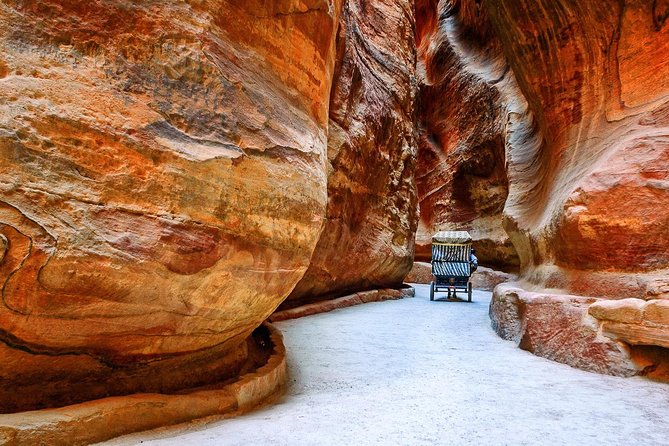 Petra and Wadi Rum Day Trip From Amman - Pricing and Reviews