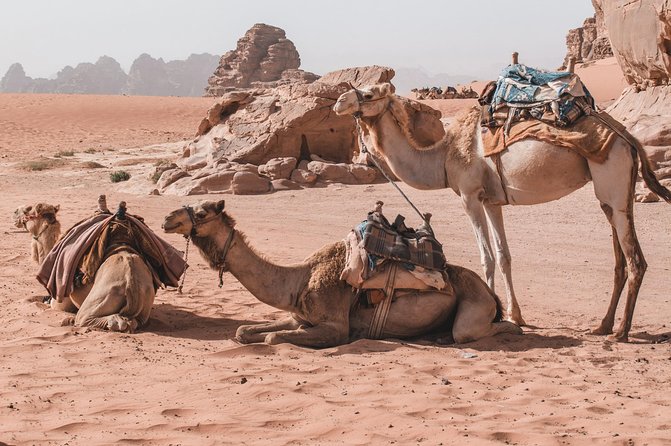 Petra and Wadi Rum in One Day | The Jordanian Mappers - Bottled Water