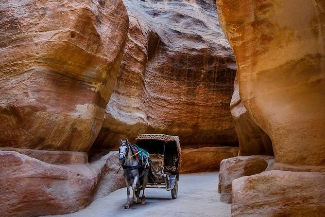 Petra Private Full-Day Tour - Tips for a Great Experience