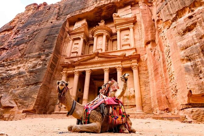 Petra Sightseeing 1 Day Tour From Sharm El Sheikh - Logistics and Pricing