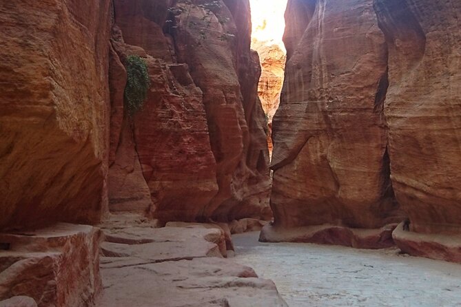 Petra Sightseeing 1 Day Tour From Sharm El Sheikh - Positive Feedback