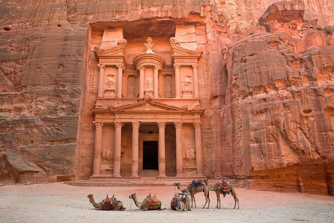 Petra Tour From Sharm by Cruise - Dining and Cuisine