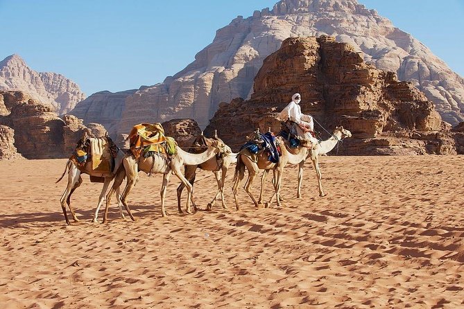 Petra & Wadi Rum 3 Days 2 Tour Nights From Eilat Border - Accommodations and Meals