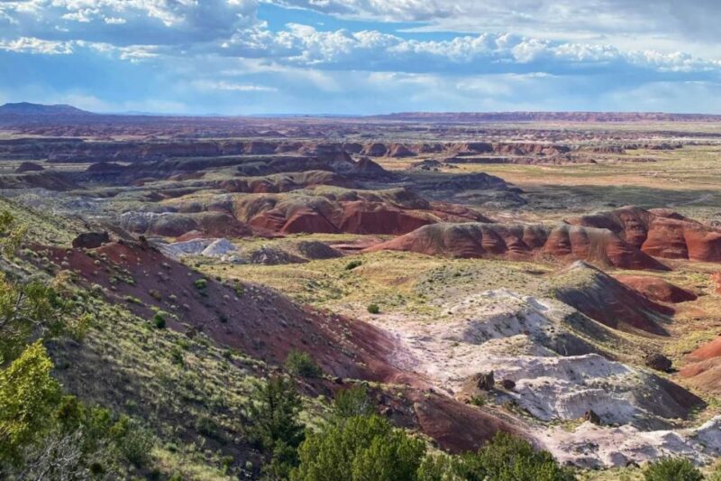 Petrified Forest National Park Self-Guided Audio Tour - Itinerary and Highlights