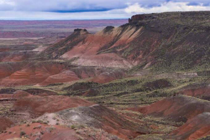 Petrified Forest National Park Self-Guided Audio Tour - What to Bring