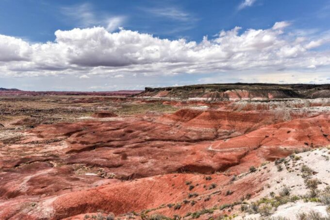 Petrified Forest National Park Self-Guided Audio Tour - Park Highlights