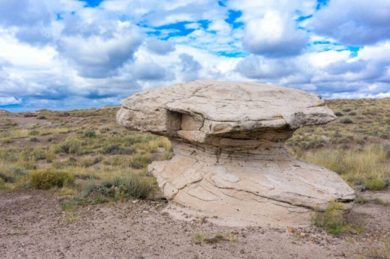 Petrified Forest National Park Self-Guided Audio Tour - Audio Tour Features and Download
