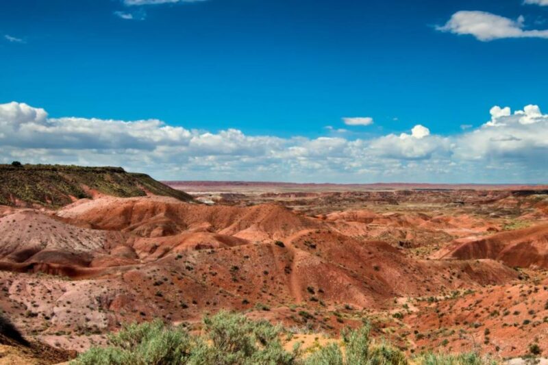 Petrified Forest National Park Self-Guided Audio Tour - Smartphone and App Requirements
