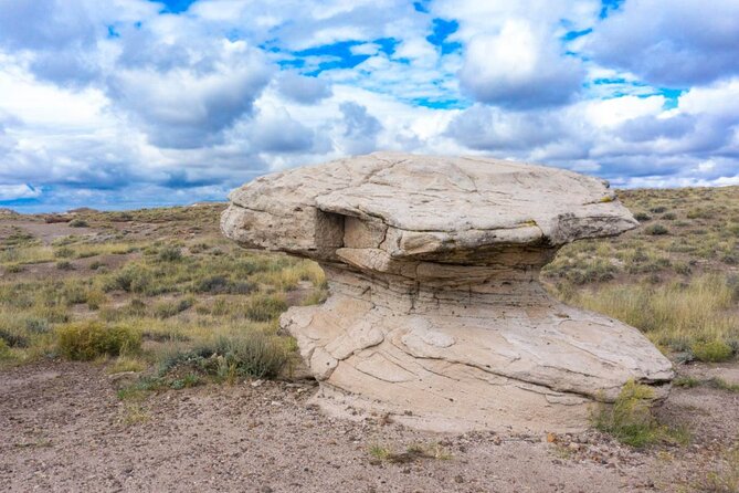 Petrified Forest National Park Self-Guided Driving Audio Tour - Logistics and Accessibility