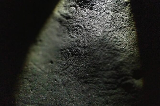 Petroglyphs - Tamesis: A Petroglyph Treasure Trove