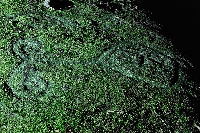 Petroglyphs - Guided Tour Highlights