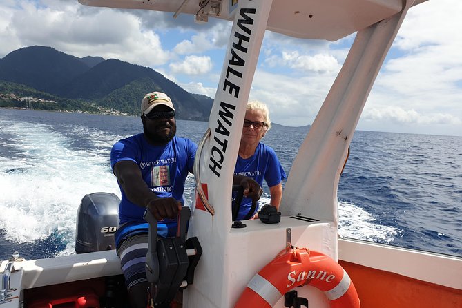 PH Whale Watch & Dolphin Cruise in Dominica - Overview