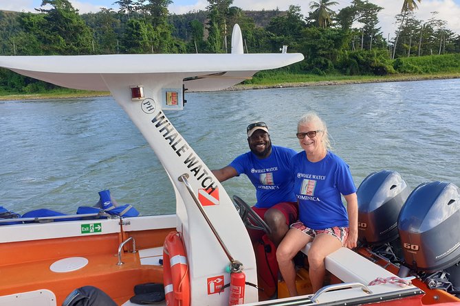 PH Whale Watch & Dolphin Cruise in Dominica - Cancellation Policy