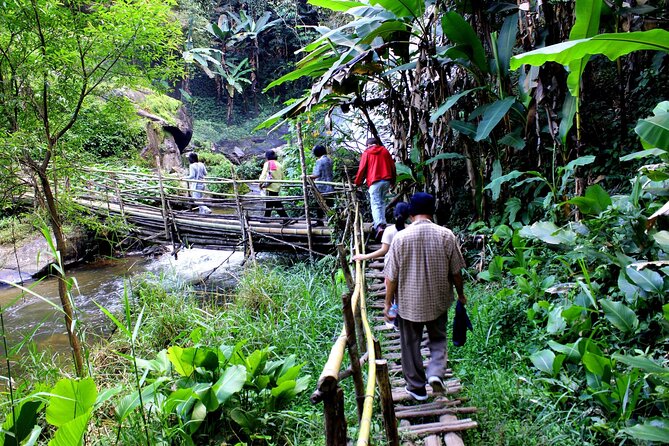 Pha Dok Siew Nature Trail & Doi Inthanon National Park From Chiang Mai - Pha Dok Siew Trail Attractions
