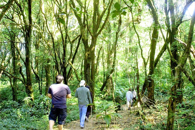 Pha Dok Siew Nature Trail & Doi Inthanon National Park From Chiang Mai - Included in the Tour Package