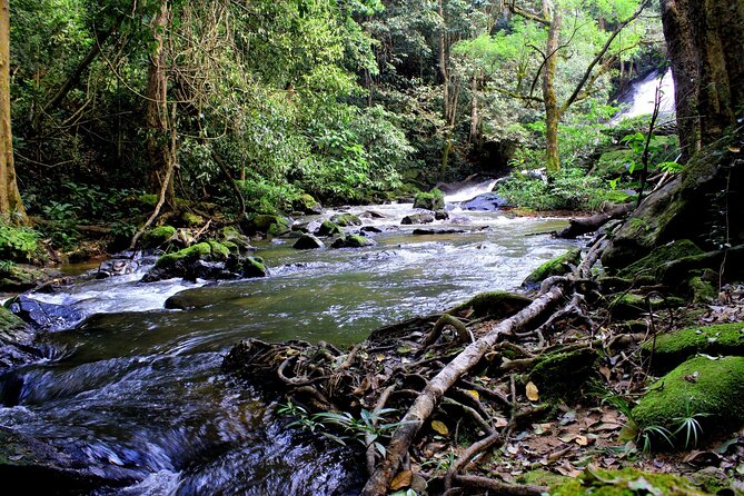Pha Dok Siew Nature Trail & Doi Inthanon National Park From Chiang Mai - Cancellation and Refund Policy
