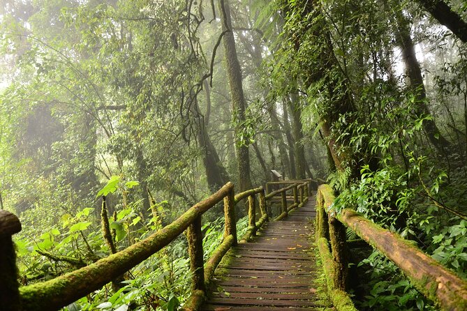 Pha Dok Siew Nature Trail & Doi Inthanon National Park From Chiang Mai - Customer Feedback and Ratings