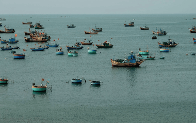 Phan Thiet, Forgotten Culture - Vienam Most Beautiful Beach - Savoring Local Seafood Delights