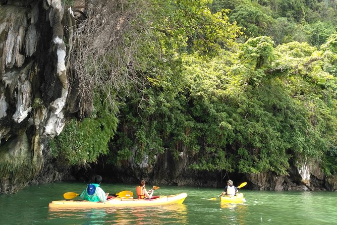 Phang Nga Bay Kayaking Day Trip - Discovering Mangrove Forests