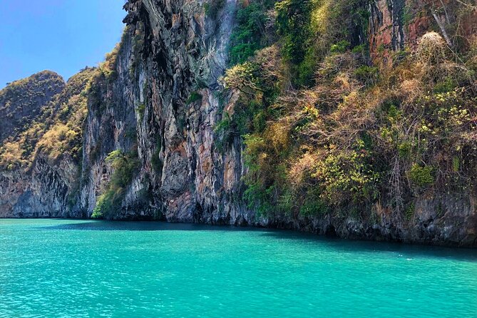 Phang Nga Bay Private Bioluminescence and Sea Canoeing Tour - Bioluminescence Highlights