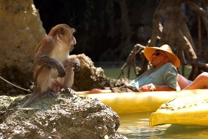 Phang Nga Bay Starlight by John Gray Sea Canoe - Cancellation Policy