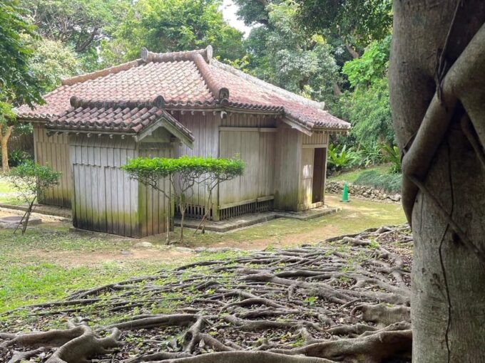 Phantom Cafe! Exerience the Beauty of Shuri Area. - What to Expect