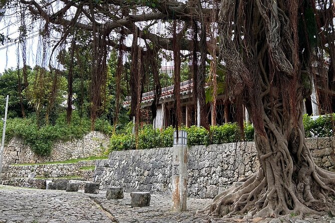 Phantom Cafe Tour in the Shuri by E-Bike - Booking Information