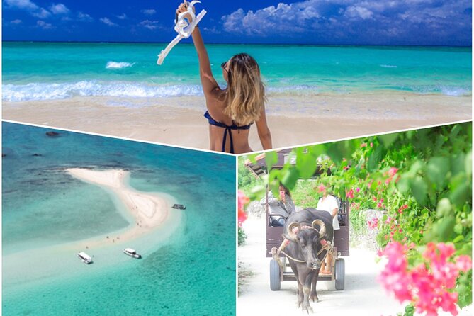 Phantom Island Snorkeling + Taketomi Island Sightseeing - Key Points