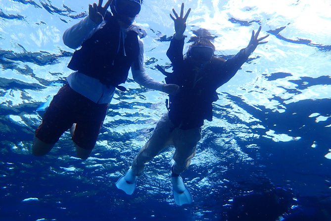 Phantom Island Snorkeling + Taketomi Island Sightseeing - Included in the Tour