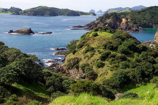Phantom Sailing Bay of Islands - Exploring the Bay of Islands