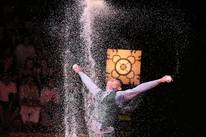 Phare: The Cambodian Circus Show in Siem Reap - Venue and Seating Information