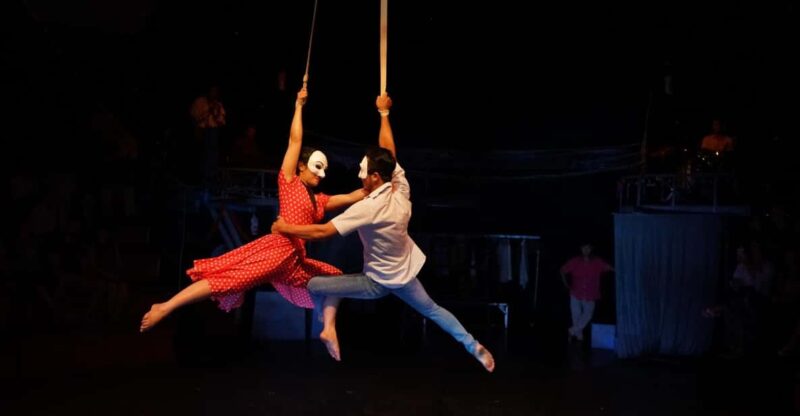 Phare: the Cambodian Circus Show With Pick up & Drop off - Performance Overview