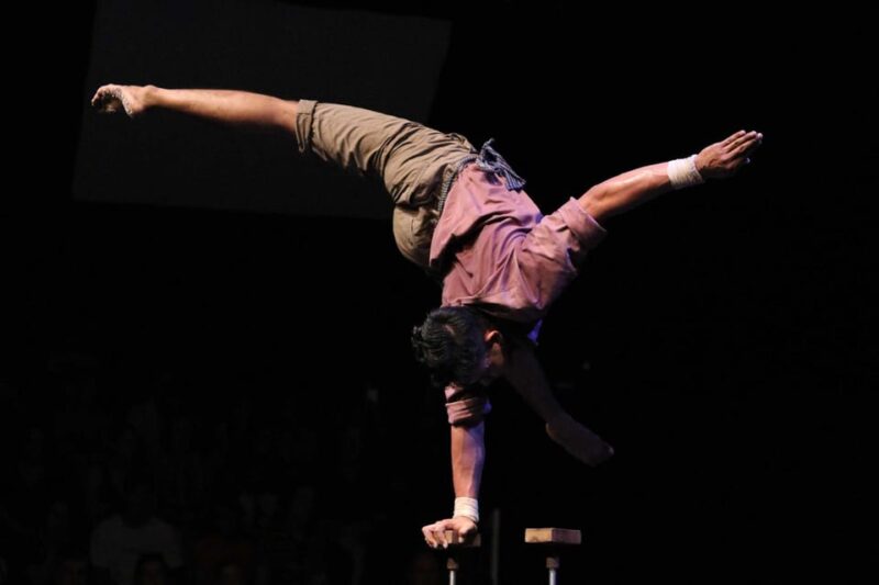 Phare: the Cambodian Circus Show With Pick up & Drop off - Highlights of the Show