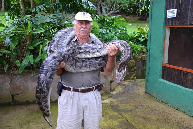 Phezulu Cultural Village & Reptile Park Day Tour From Durban - Zulu Cultural Heritage