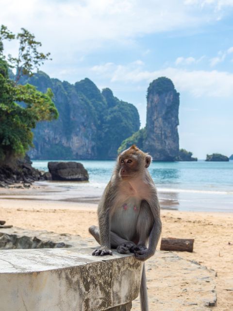 Phi Phi: 4 Islands Sunset & Bioluminescent Plankton Tour - Age Restrictions and Prohibitions