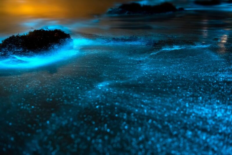 Phi Phi: 4 Islands Sunset & Bioluminescent Plankton Tour - What to Bring and Expect