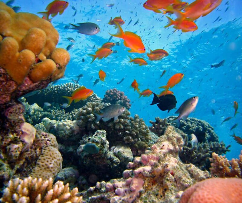 Phi Phi & 4 Islands sunset tour plus bioluminescent plankton - FAQ