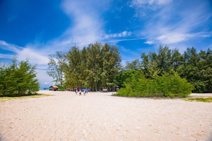 Phi Phi: 4Hrs Bamboo & Phi Phi Tour By Private Longtail Boat - Flexible Itinerary
