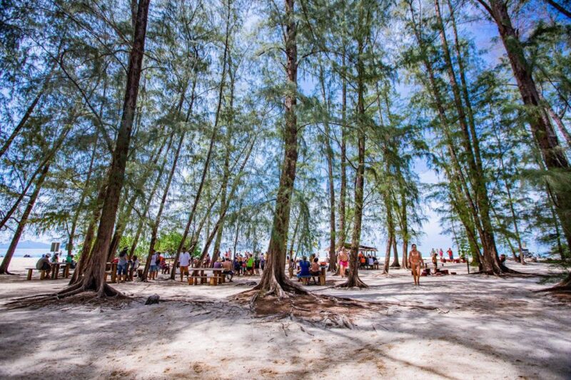 Phi Phi: 6Hrs Bamboo & Phi Phi Tour By Private Longtail Boat - Inclusions and Safety