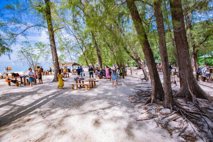 Phi Phi: 6Hrs Bamboo & Phi Phi Tour By Private Longtail Boat - Touring Phi Phi Islands