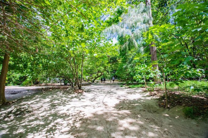Phi Phi: 6Hrs Bamboo & Phi Phi Tour By Private Longtail Boat - Exploring Bamboo Island