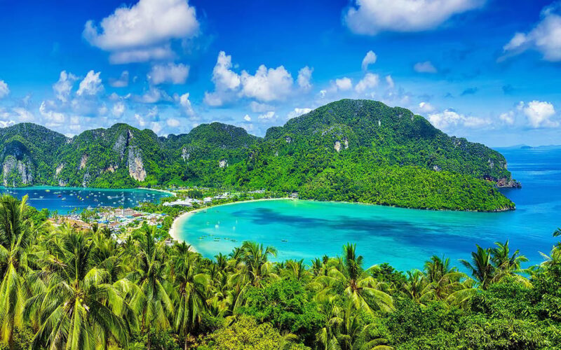 Phi Phi and Bamboo Islands Speedboat Tour With Fins - Inclusions
