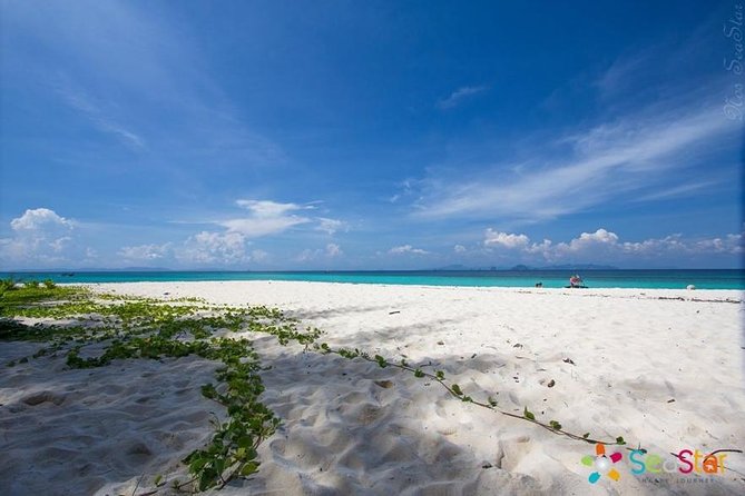 Phi Phi & Bamboo Islands Full-Day Tour by Speedboat From Phuket - Booking Details