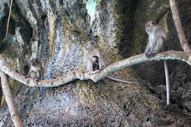 Phi Phi Don & Phi Phi Leh Sunset Trip by Arisa Speed Boat - Observing Monkey Beach
