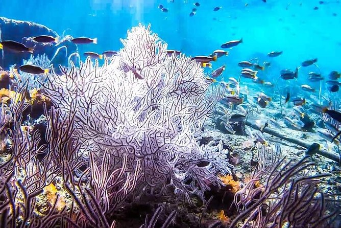 Phi Phi Full Day Tour - Small Group 15 Pax From Krabi - Small-Group Tour Capacity